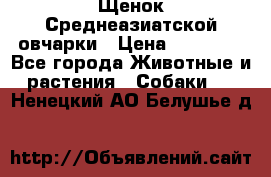 Щенок Среднеазиатской овчарки › Цена ­ 35 000 - Все города Животные и растения » Собаки   . Ненецкий АО,Белушье д.